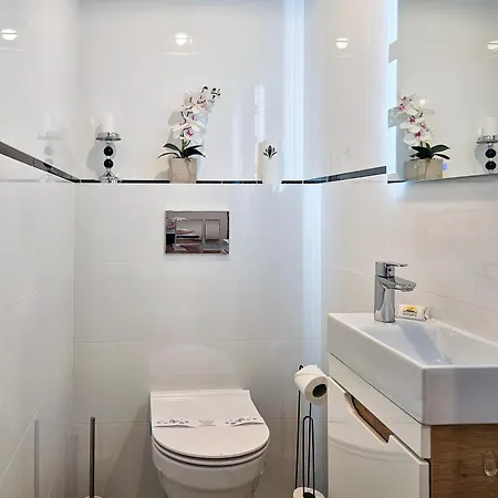 Visit Baltic - Kormoran Z Tarasem